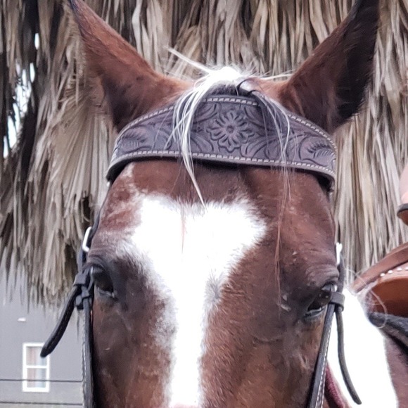 Meet your Posher, Loree - Picture 1 of 1